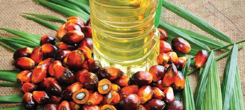 Bright Future of Oleochemical