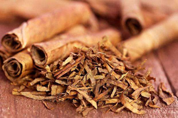 World No Tobacco Day