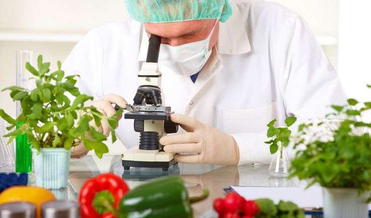 Biotechnology in Food Processing: The Role of Enzymes in the Production of High Quality Food Products